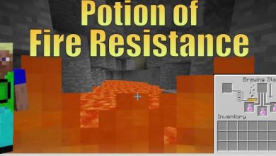 Fire Resistance Potion Minecraft: Potion for Survival