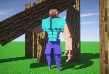 Discover Steve Minecraft Head Guy
