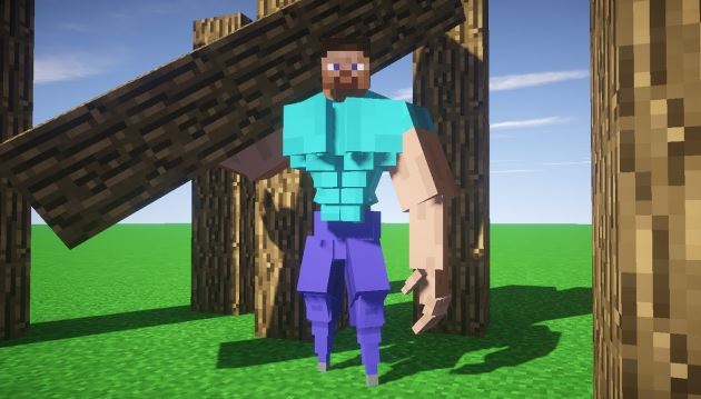 Discover Steve Minecraft Head Guy