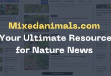 Mixedanimals.com: Your Ultimate Resource for Nature News