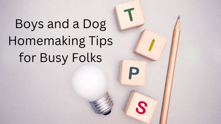 Boys and a Dog Homemaking, Homeschooling Tips for Busy Folks