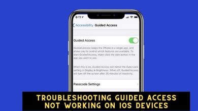 Troubleshooting Guided Access Not Working on iOS Devices