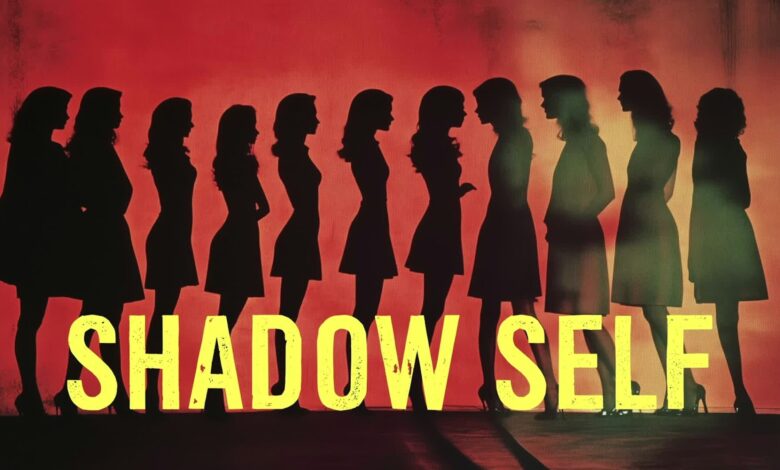 Shadow self leadership emotional agency concept